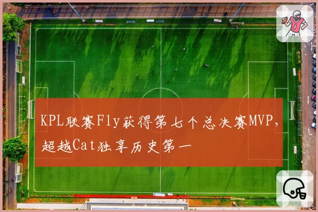 KPL联赛Fly获得第七个总决赛MVP，超越Cat独享历史第一