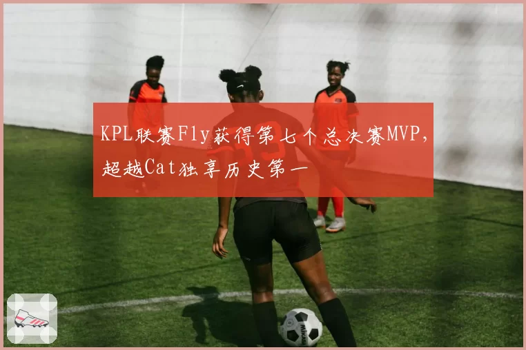 KPL联赛Fly获得第七个总决赛MVP，超越Cat独享历史第一