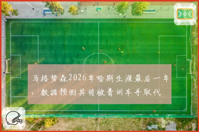 马格努森2026年哈斯生涯最后一年，数据预测其将被青训车手取代