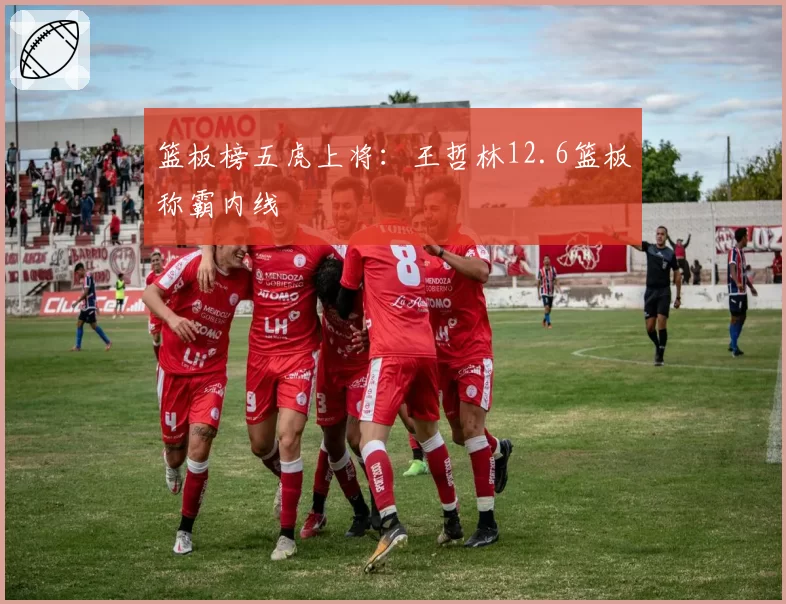 篮板榜五虎上将:王哲林12.6篮板称霸内线