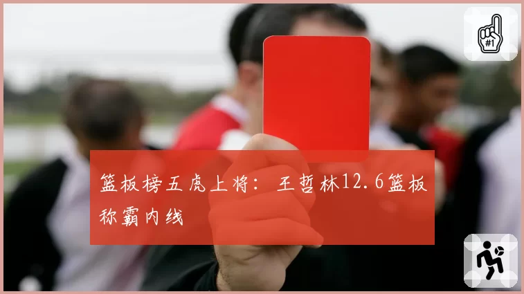 篮板榜五虎上将:王哲林12.6篮板称霸内线